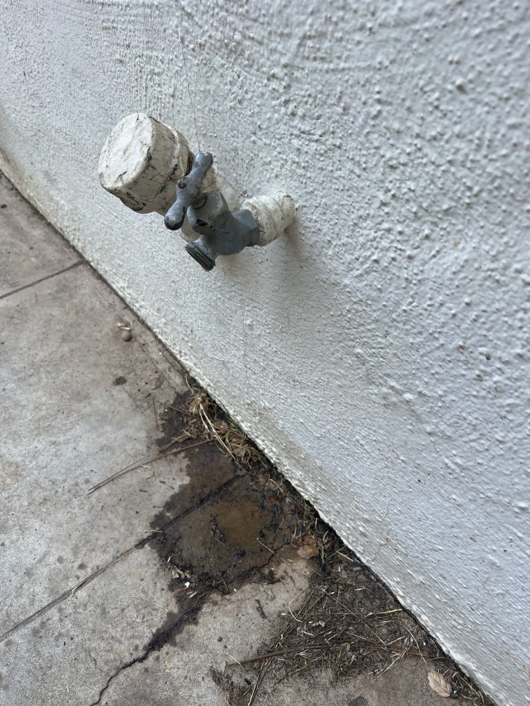 4F44621C-1B41-4D87-B0DC-EBFFDCE7DDCC